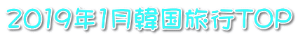 2019年1月韓国旅行TOP