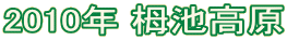 2010N ̒r